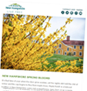Image of a newsletter with a flowering bush and yellow house