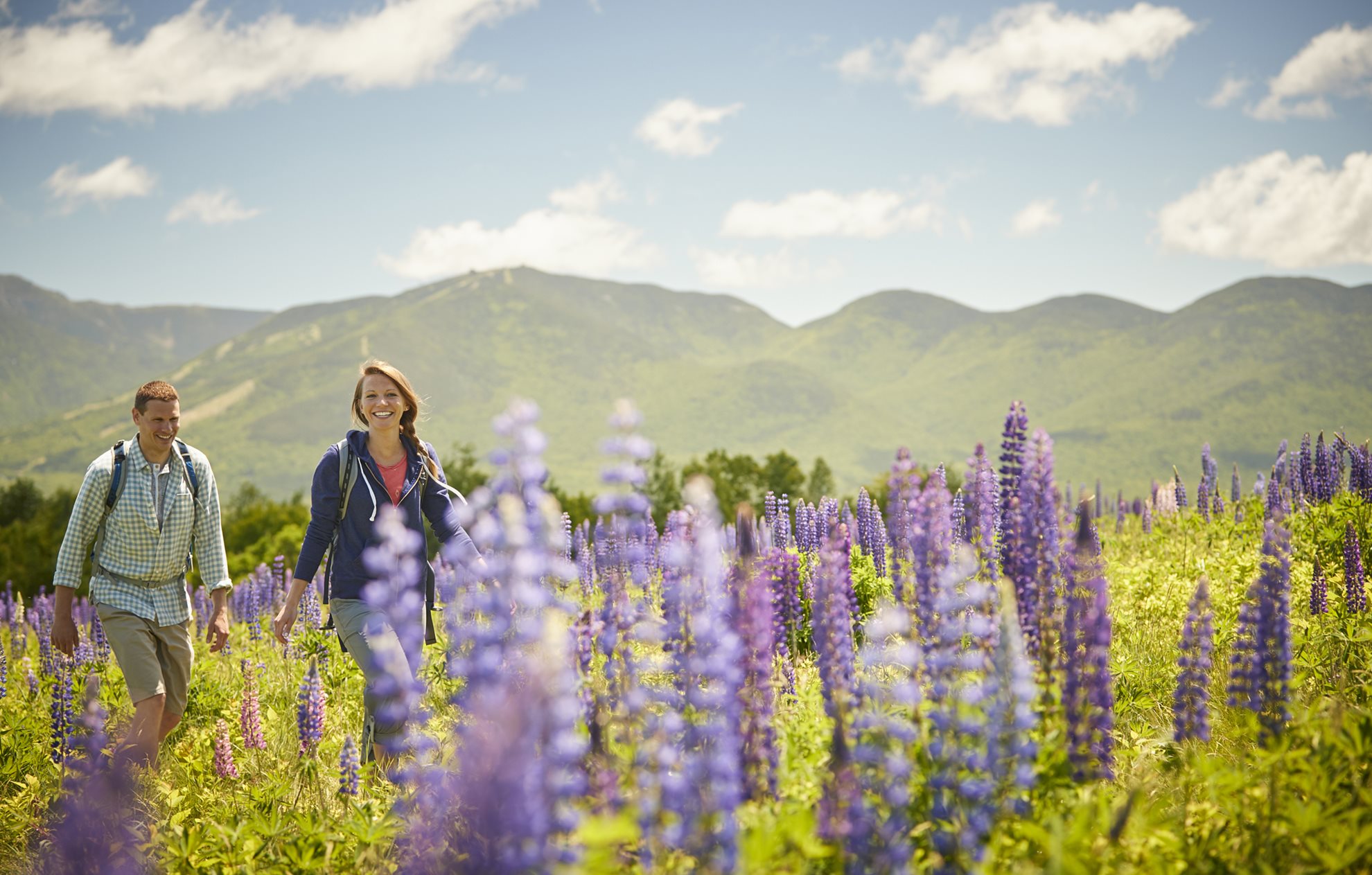 A man and a woman walking through a field of lupine