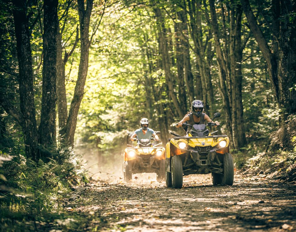 two ATV's riding down a dirt trail surrounded by trees