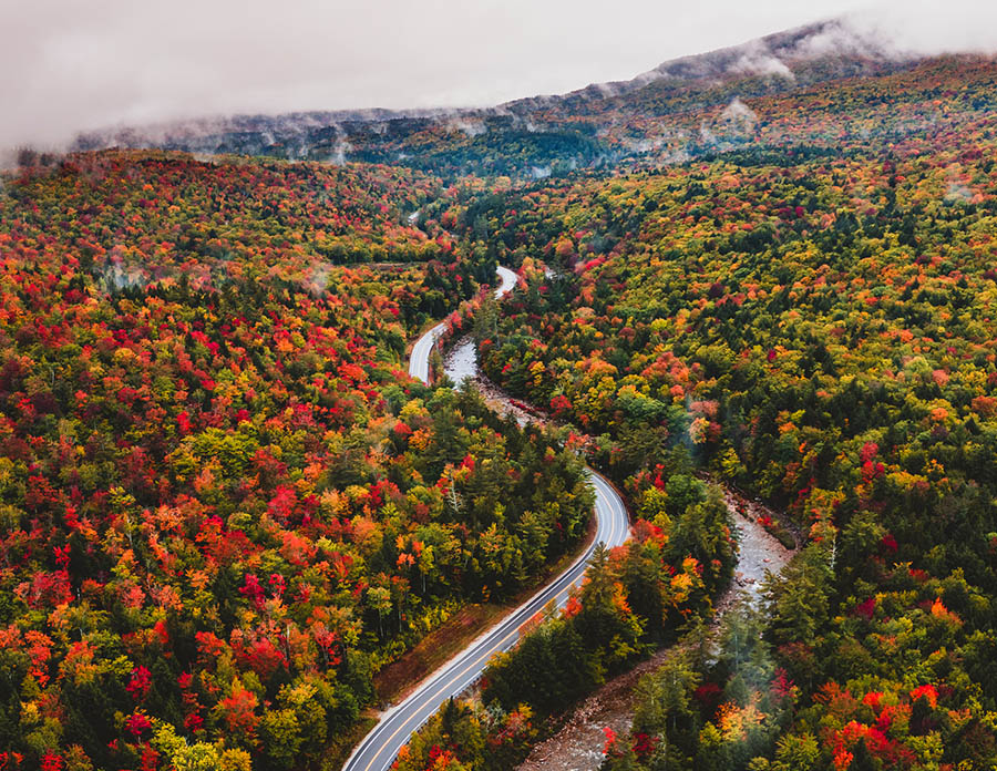 aerial view of fall foliage with a road and river