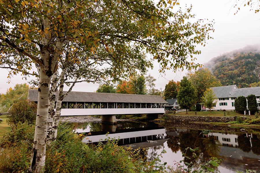 a white covered bridge over a river with a tree in the foreground.