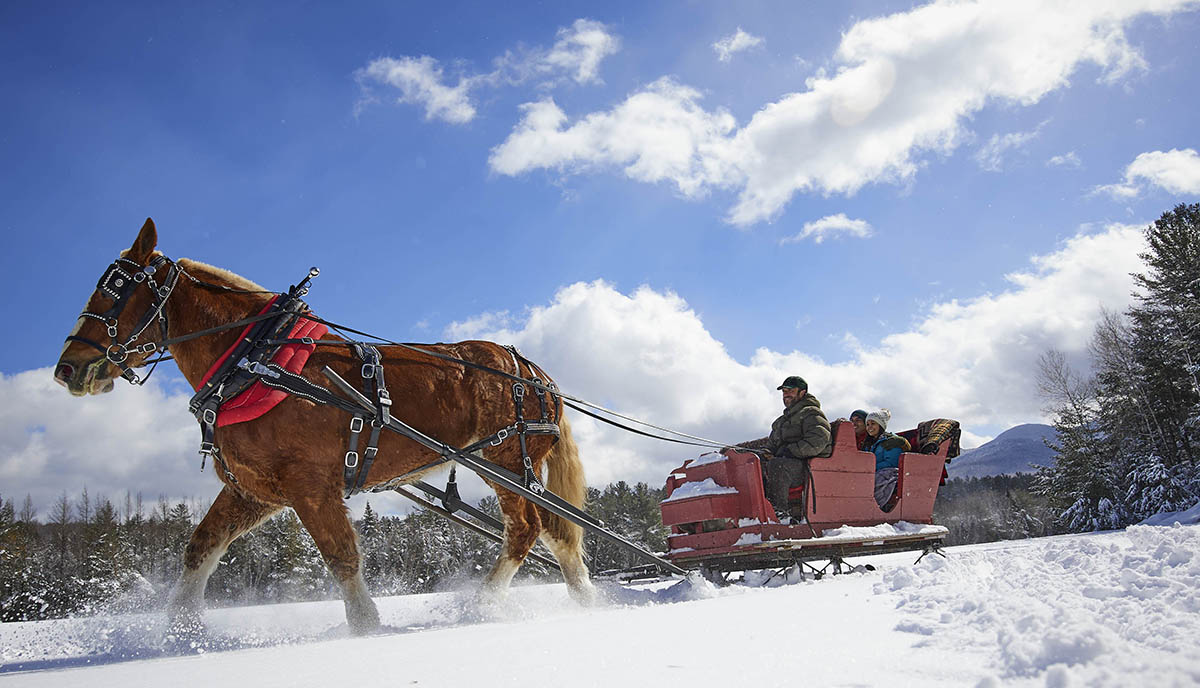 a horse pulling a sleigh through the snow
