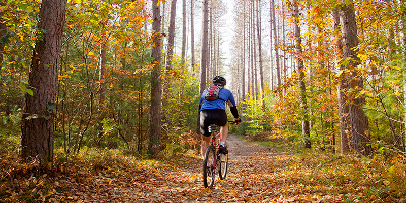 fall-bike.jpg