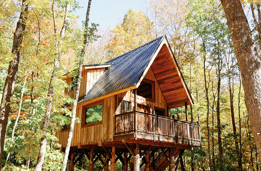 a wooden cabin surrounded by trees