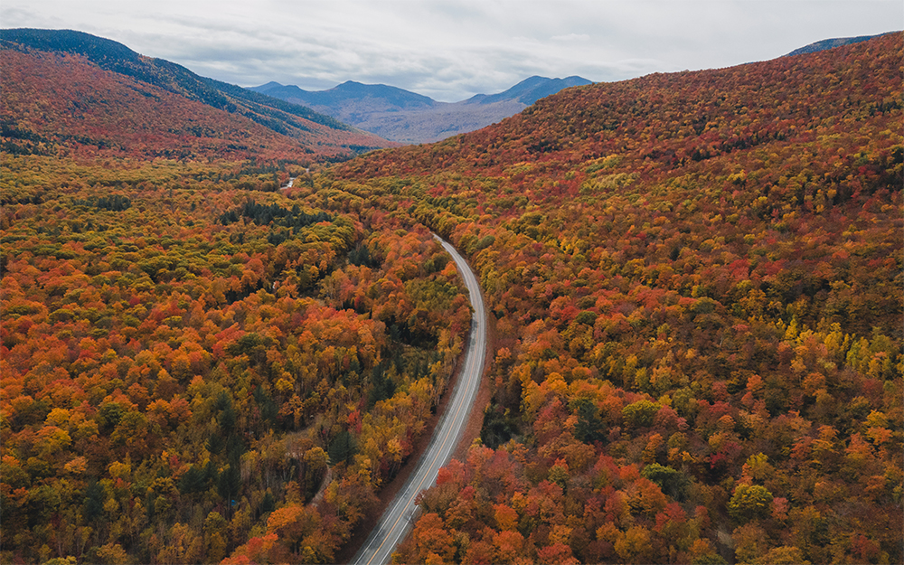 Road through the Kanc in Fall