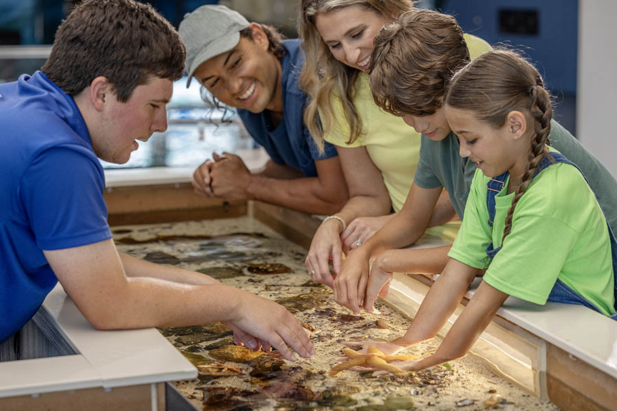 a family at a touch tank at an aquarium