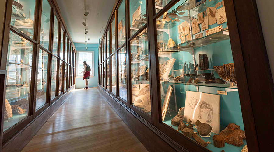 Woodman Museum