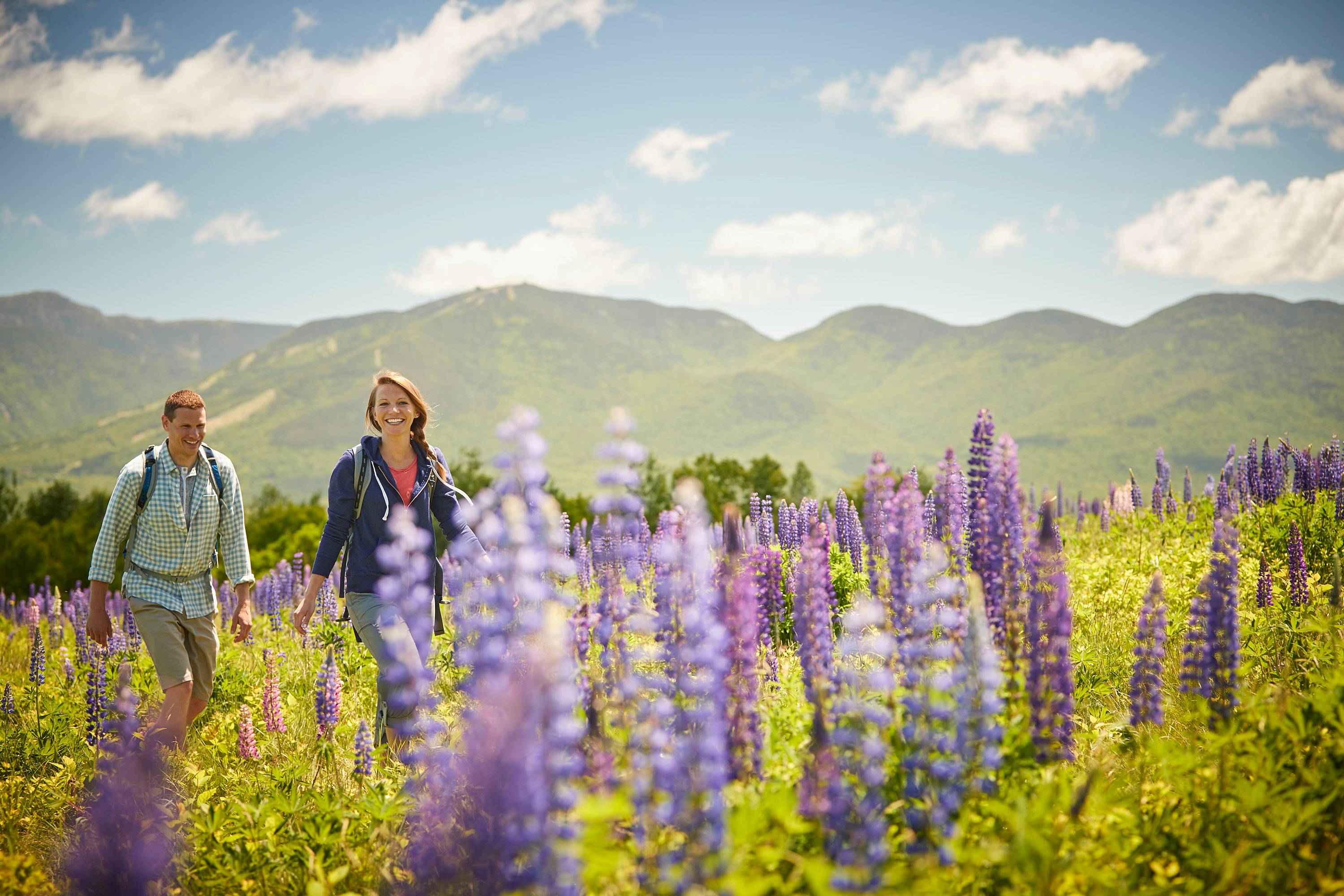 a man and woman walking in a field with purple flowers with mountains behind them.