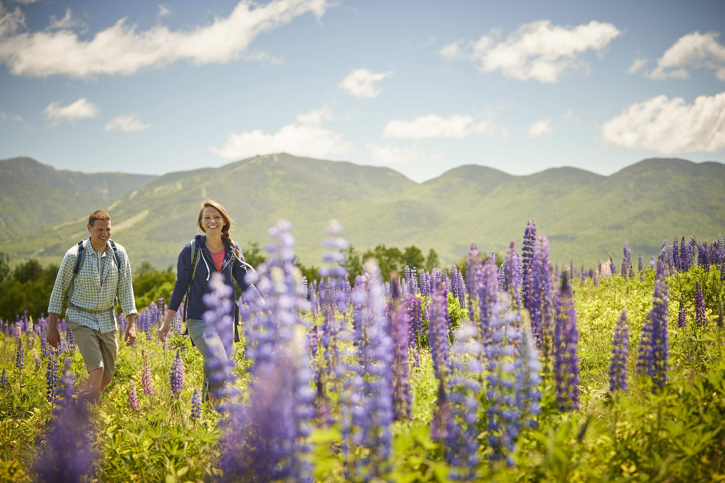 a man and woman walking among purple lupine flowers with the mountains behind them.