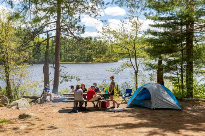 A family in the woods camping
