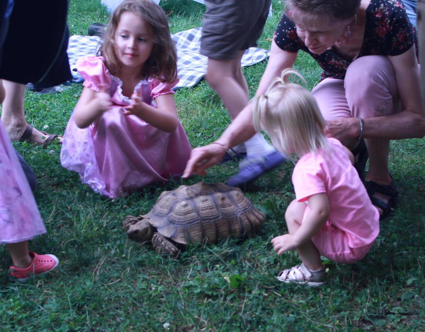 Featured image for Hanover Parks and Recreation