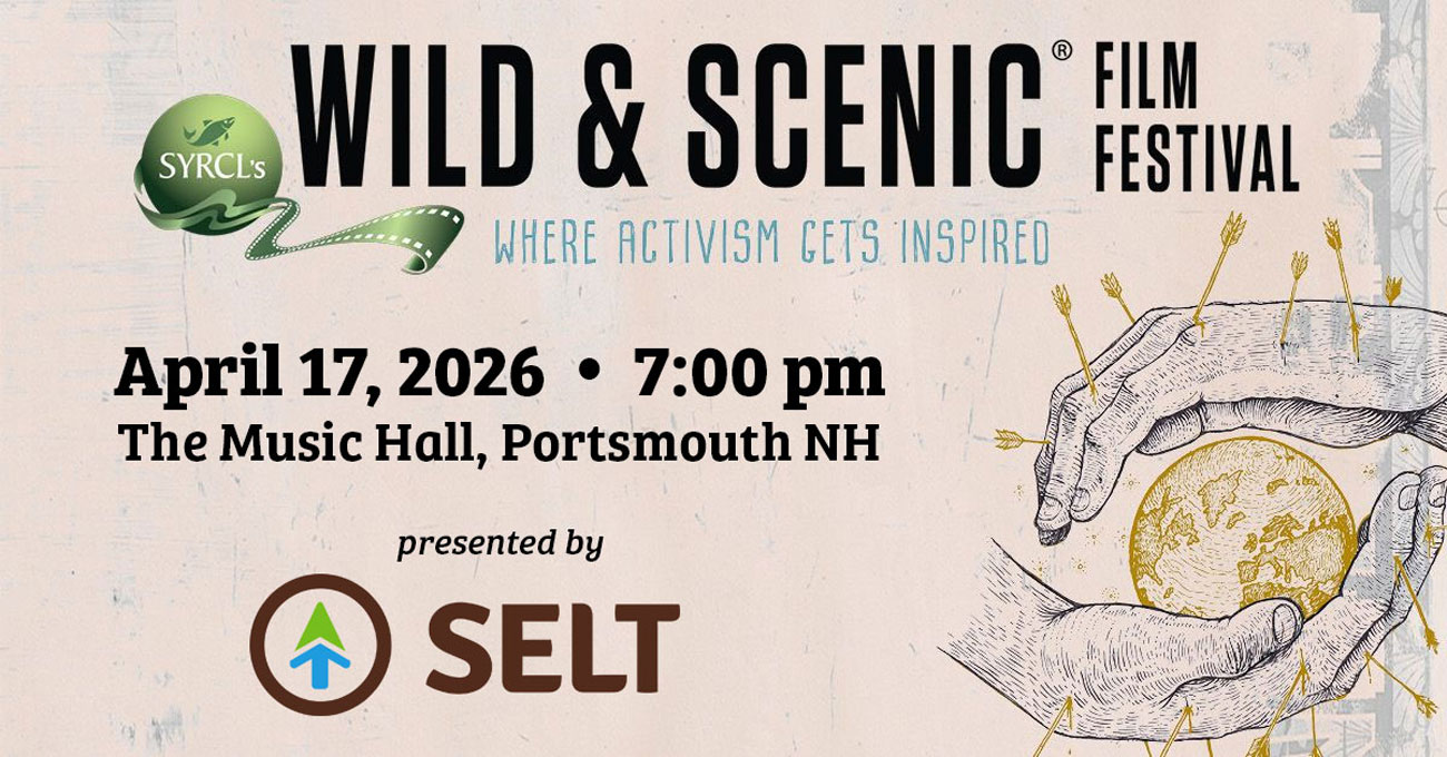 Featured image for SELT