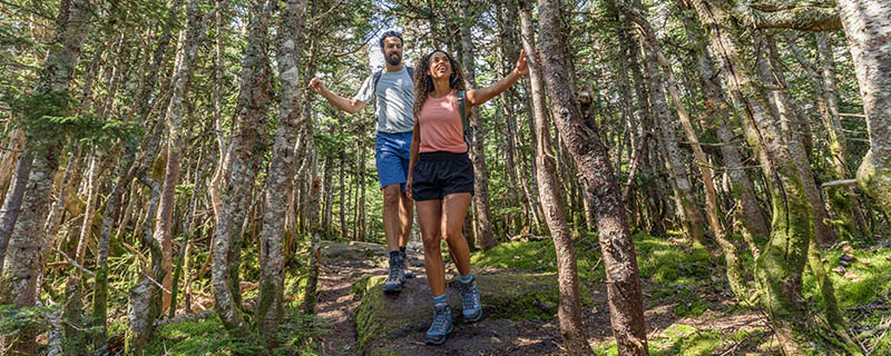 hike.jpg