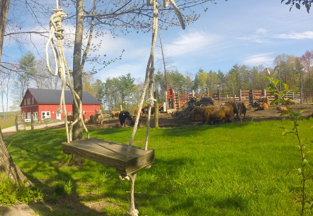 farm1.jpg
