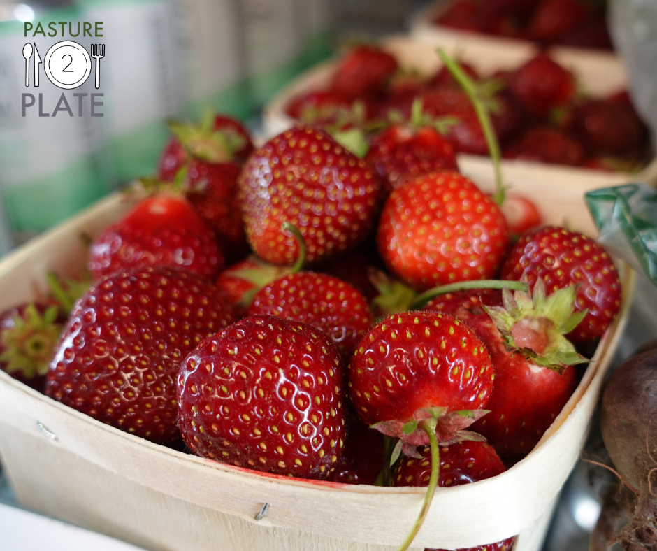 Fresh Picked Strawberries