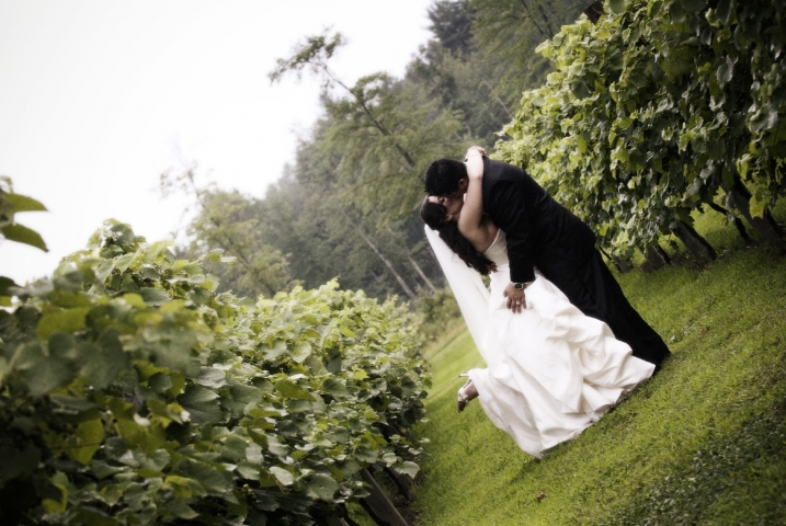 Among the vines