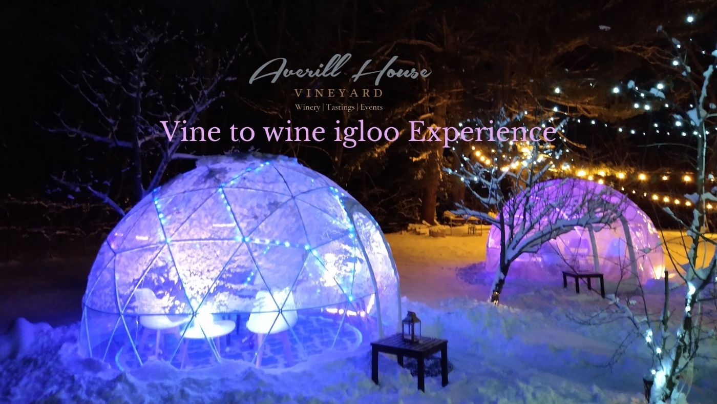 Featured image for Averill House Vineyard