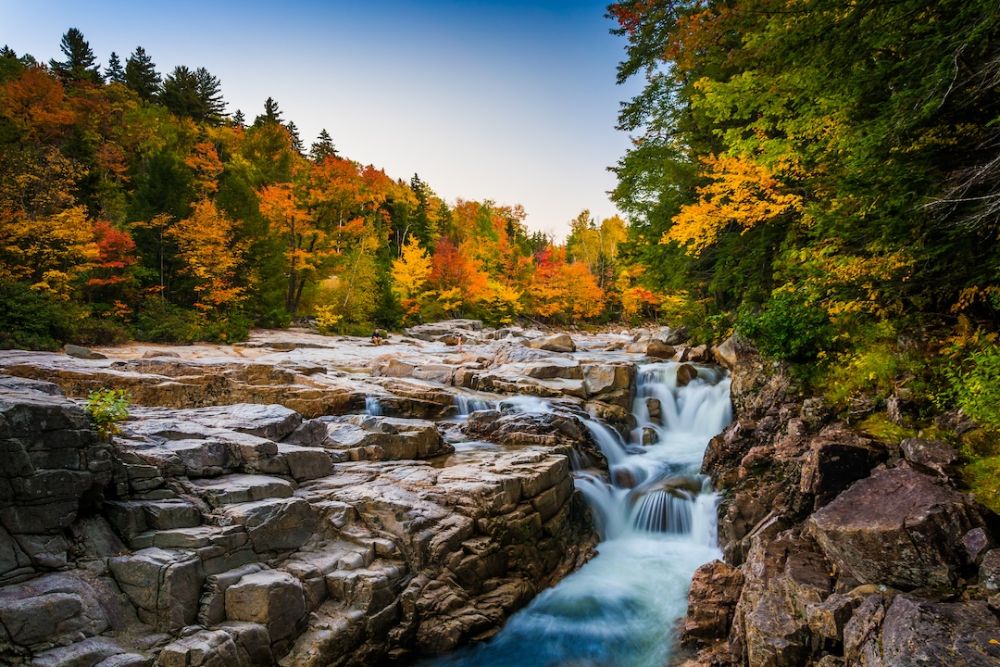 Fall colors an a stream running through the White Mountains