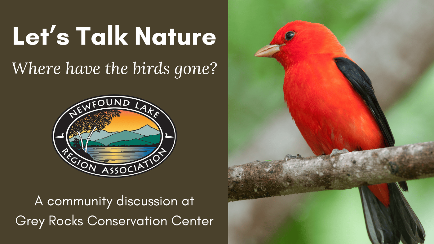 Featured image for Newfound Lake Region Association