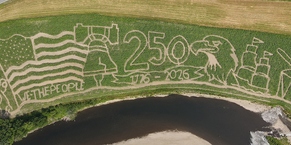 CollinsFarm-pic2.jpg