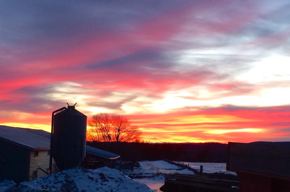 A sunset view of the farm 