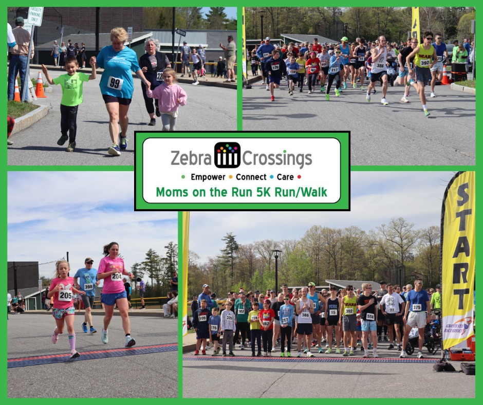 Featured image for Zebra Crossings