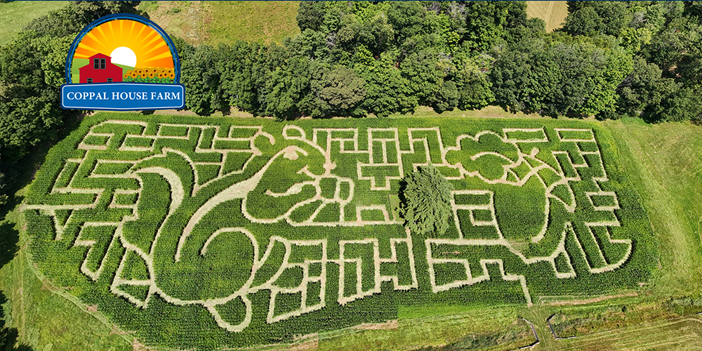 CoppalHouseFarm-pic3.jpg