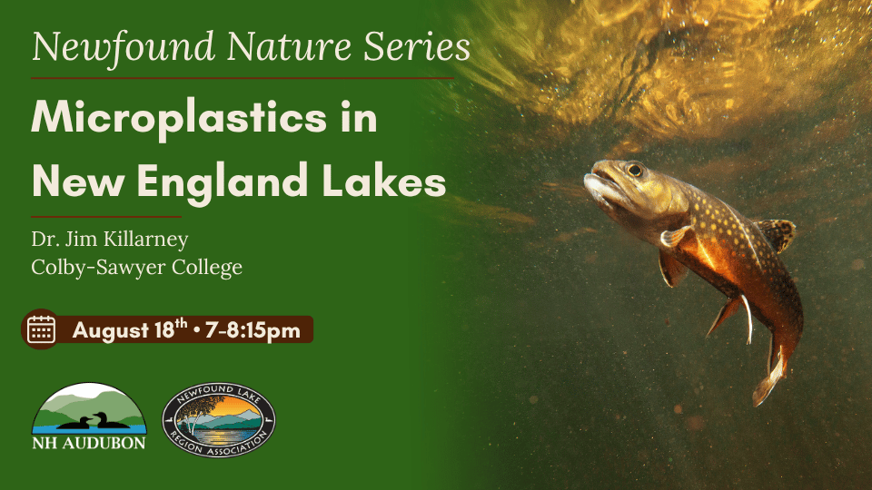 Featured image for Newfound Lake Region Association