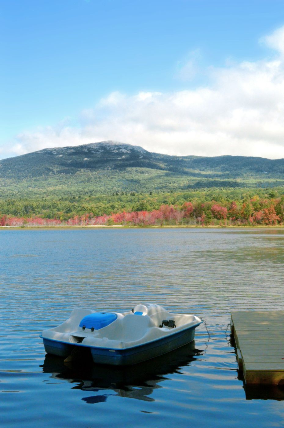 Featured image for Fall Family Farm Day