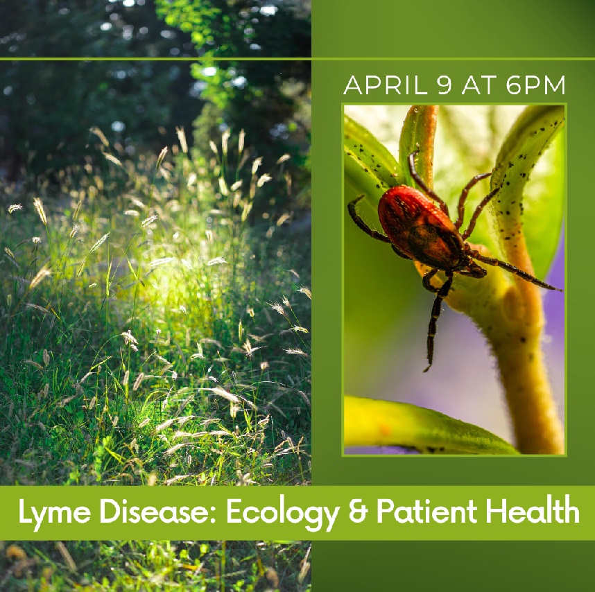 Featured image for Laconia Public Library