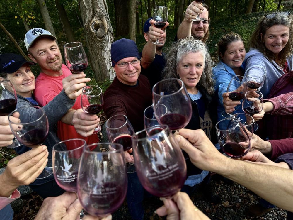 Cheers to handcrafted, small batch, vegan wines, grown, produced and aged in Newfields, NH.
