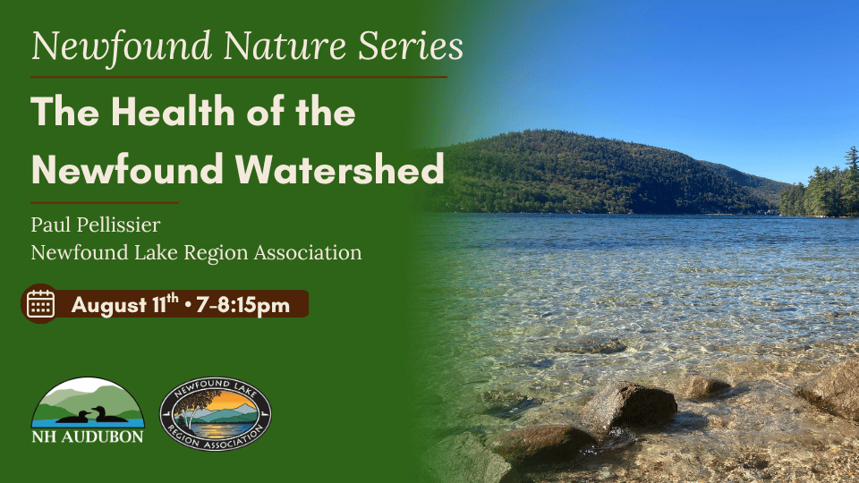 Featured image for Newfound Lake Region Association