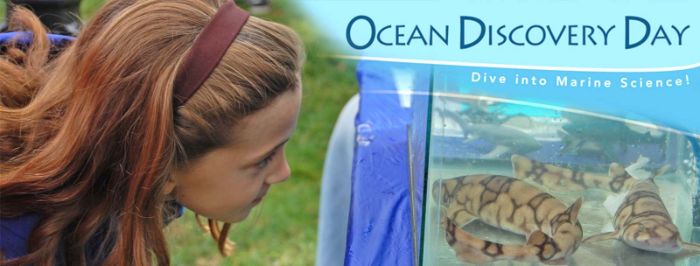 Additional image for UNH School of Marine Science and Ocean Engineering