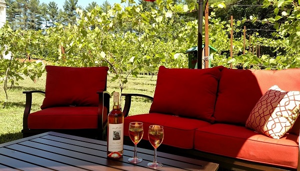 Featured image for Averill House Vineyard