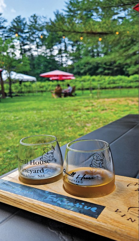 Additional image for Averill House Vineyard