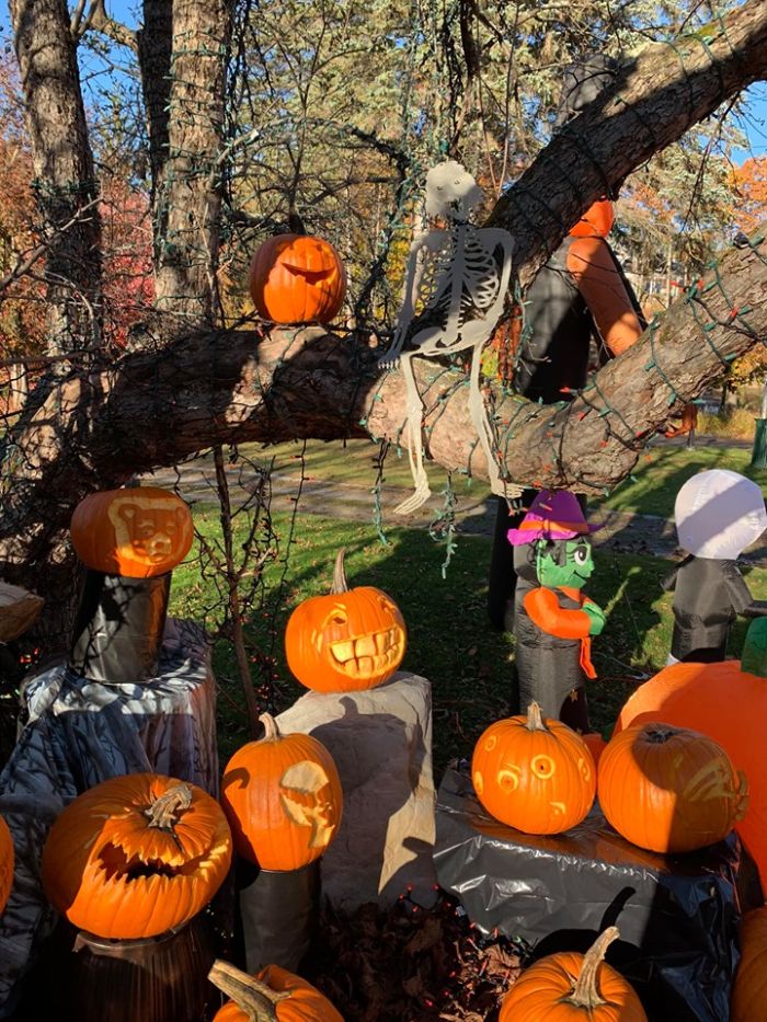 Additional image for All Things Pumpkin Festival