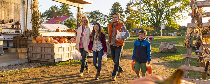 activities-fr-fall.jpg