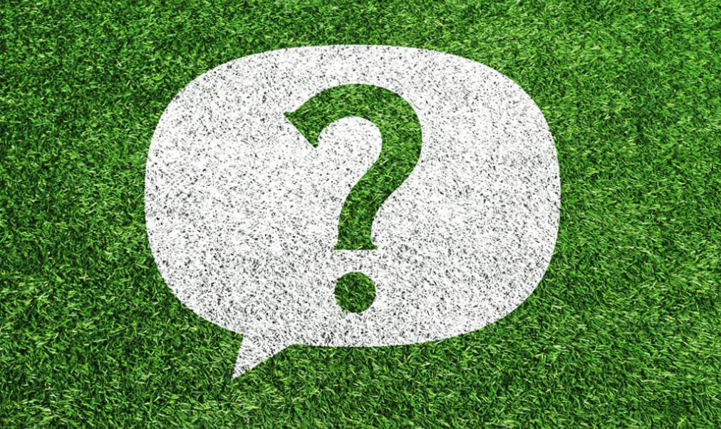 Featured image for NH Audubon