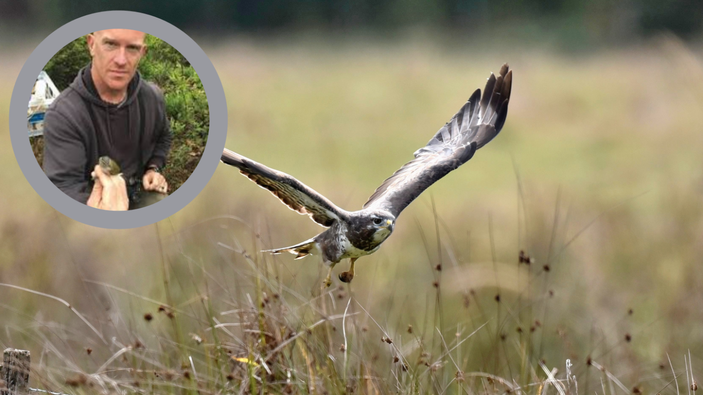Featured image for What Birds Can I Expect Here?