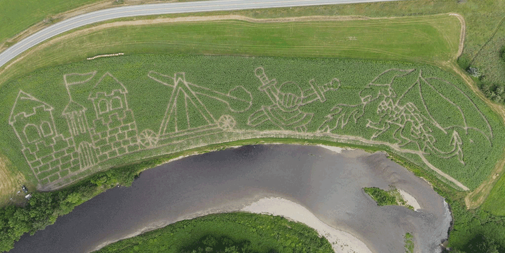 CollinsFarmCornMaze.gif
