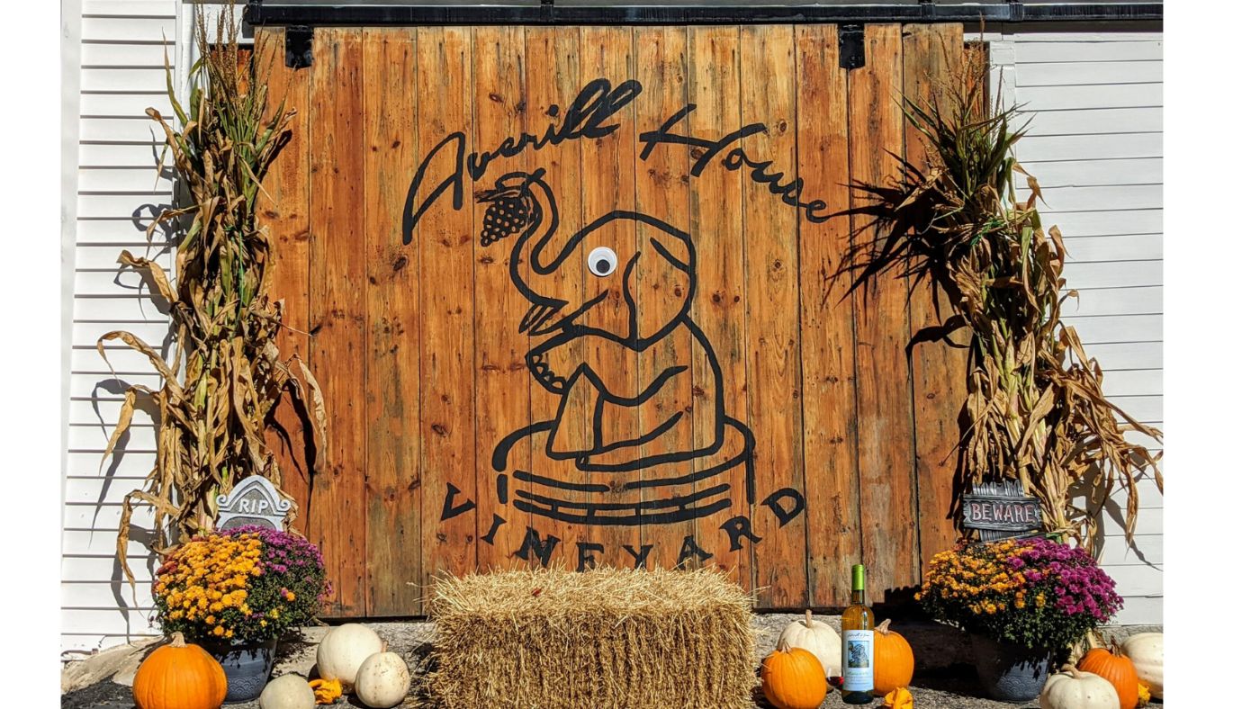 Averill House Vineyard