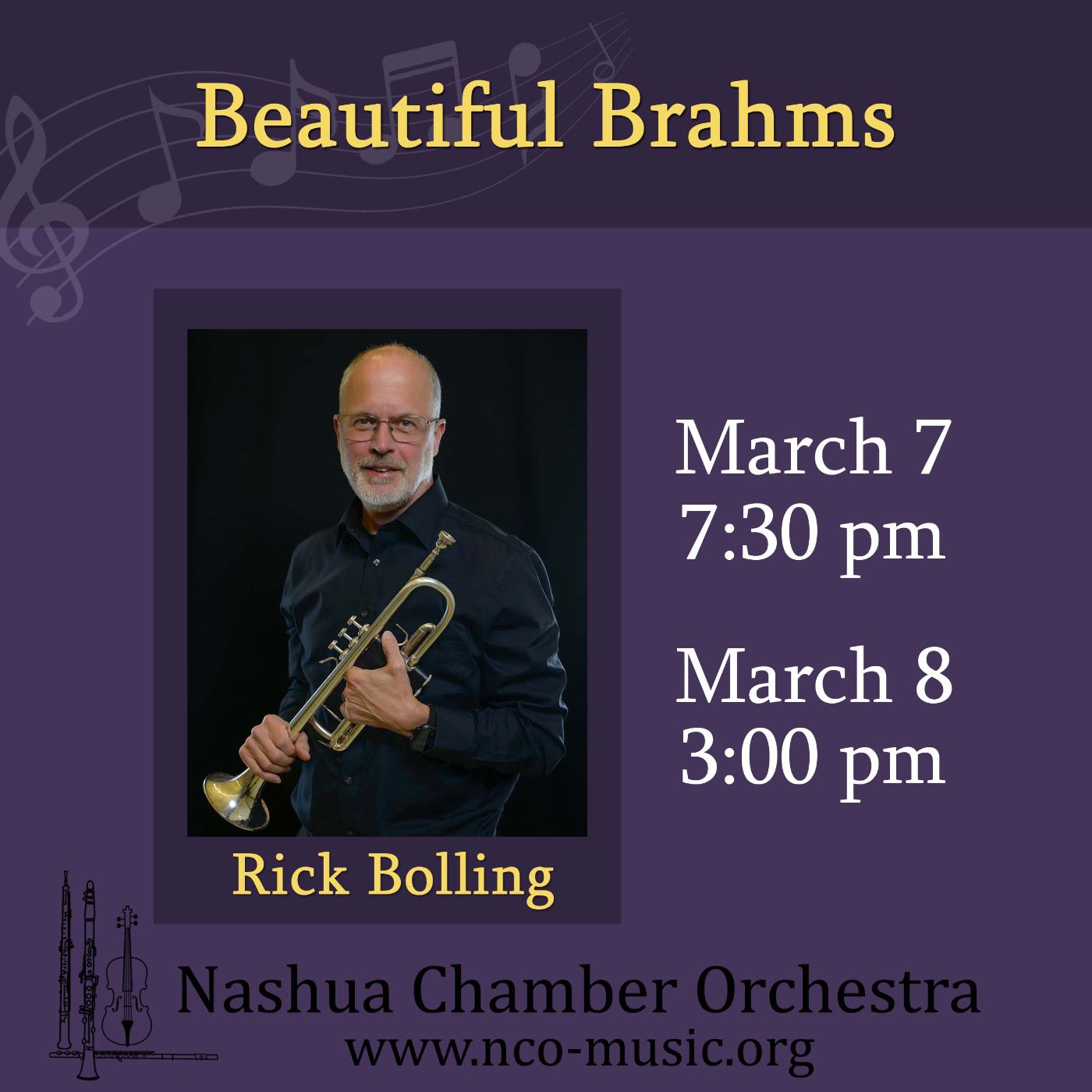 Featured image for Nashua Chamber Orchestra