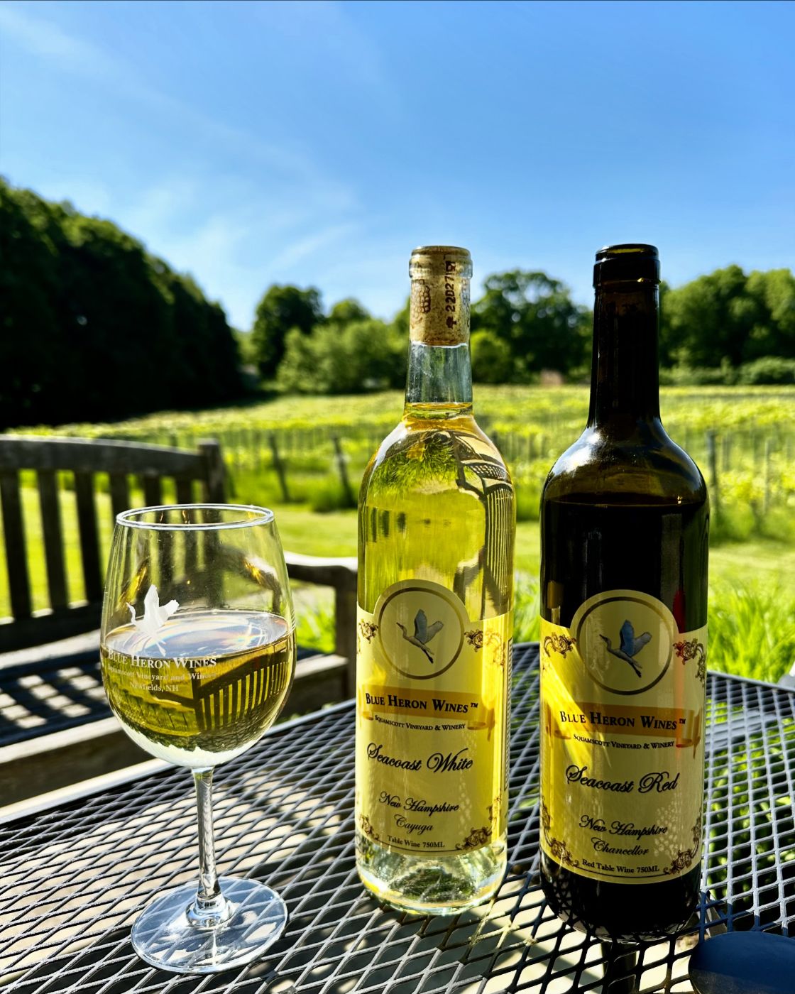 Squamscott Vineyard