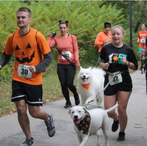 Featured image for Animal Rescue League of NH