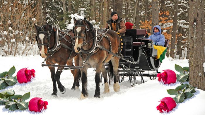 Additional image for Charmingfare Farm