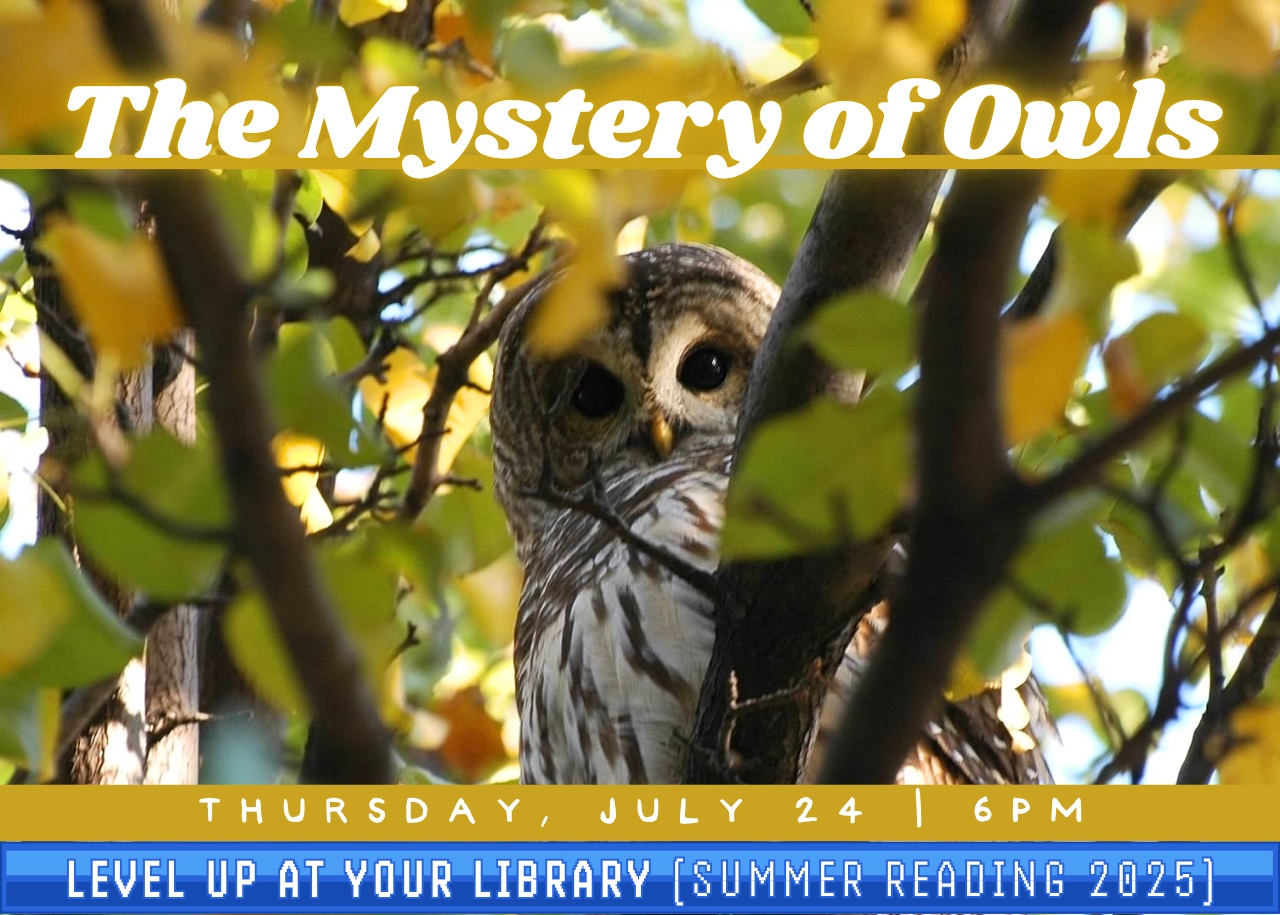 Featured image for Laconia Public Library