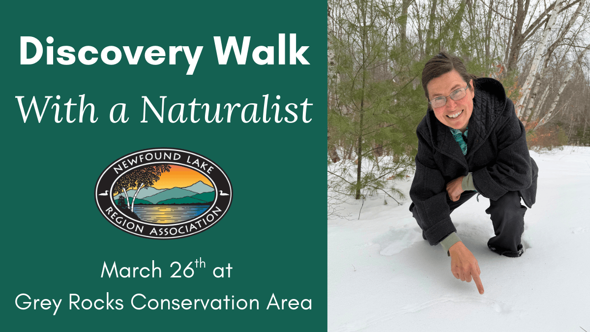 Featured image for Newfound Lake Region Association