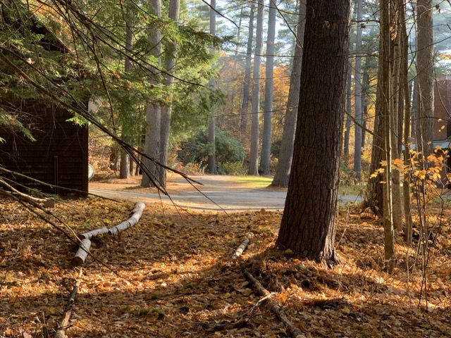 5km of hiking and cross country trails on property outside the door