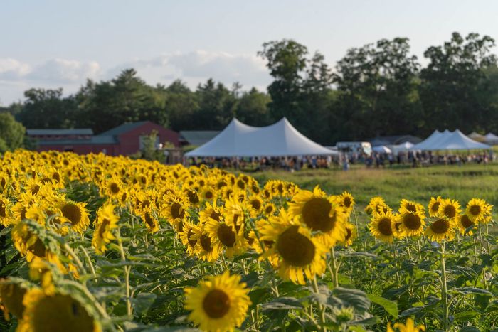 Additional image for Coppal House Farm