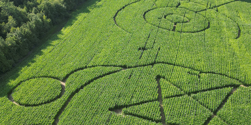 BeechHillFarm-pic1.jpg